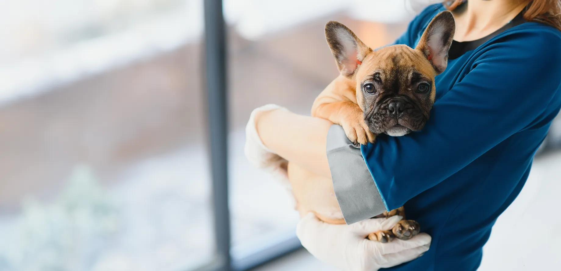 人も動物もともに健康である生活